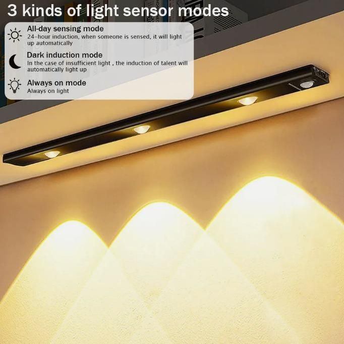 Light Collection 💡